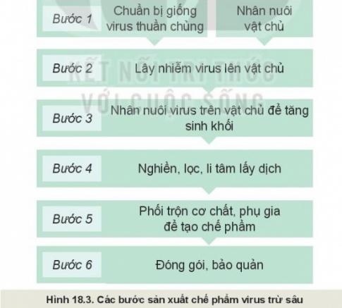 MỞ ĐẦU