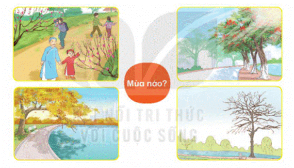 BÀI 2: MÙA NƯỚC NỔI