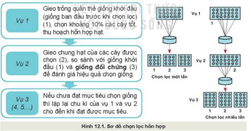 MỞ ĐẦU