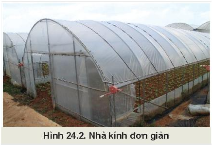 MỞ ĐẦU