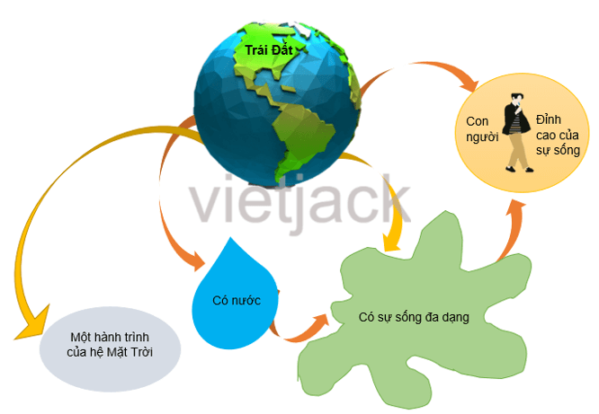 Đề bài: Tóm tắt nội dung một văn bản đã đọc bằng sơ đồ là việc làm cần thiết để từng bước nâng cao, hoàn thiện kĩ năng đọc. Nếu thường xuyên thực hiện việc tóm tắt, người đọc sẽ rèn luyện được khả năng nắm bắt nhanh những thông tin chủ yếu của văn bản, bao quát tốt mối quan hệ giữa các bộ phận (các đoạn) trong văn bản. Những sơ đồ hợp lí có thể giúp ta nhớ lại khá dễ dàng nội dung cốt lõi của những văn bản từng đọc.