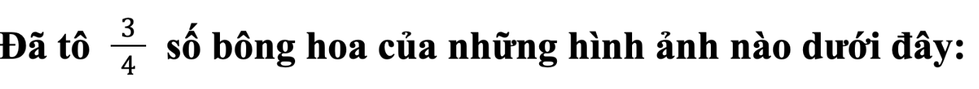 Hoạt động: