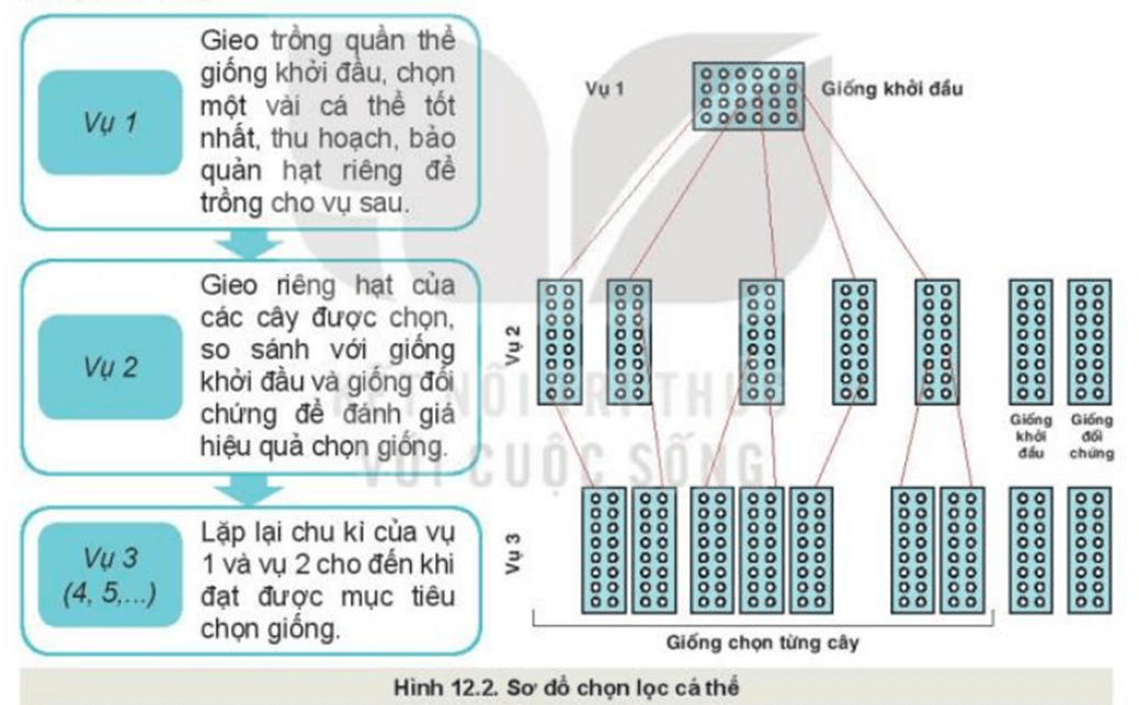 MỞ ĐẦU