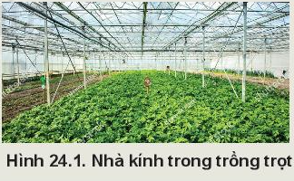 MỞ ĐẦU