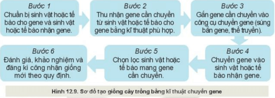MỞ ĐẦU