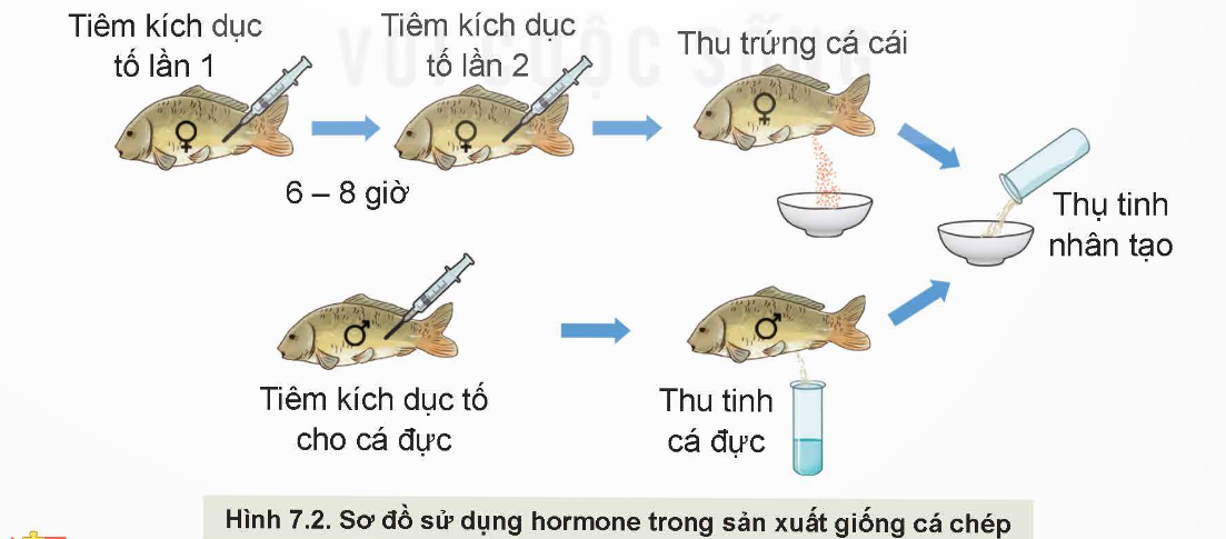 KHỞI ĐỘNG: