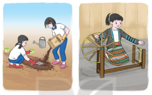 Hoạt động 1: Tìm hiểu về kế hoạch lao động tại gia đình