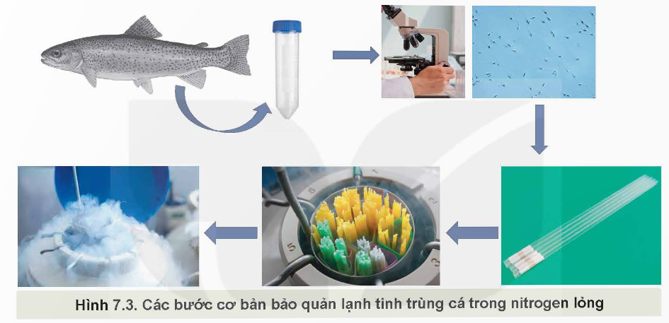 KHỞI ĐỘNG: