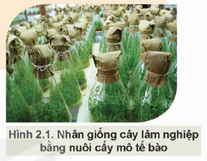 KHỞI ĐỘNG: