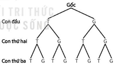 1. SỬ DỤNG PHƯƠNG PHÁP TỔ HỢP