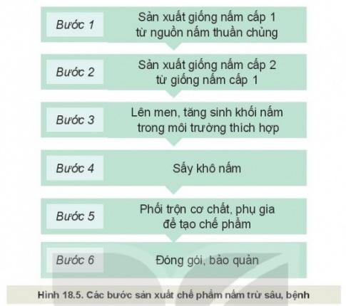 MỞ ĐẦU