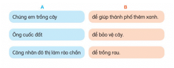 BÀI 6: MÙA VÀNG