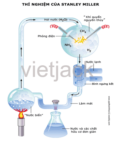 Câu 1: Nội dung của văn bản cho em biết thêm điều gì về sự sống trên Trái Đất?