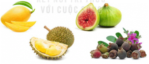 ĐỌC