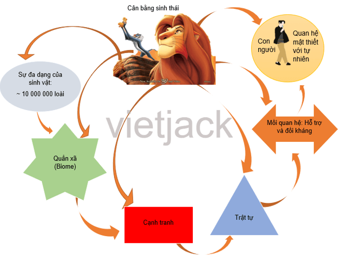Đề bài: Tóm tắt nội dung một văn bản đã đọc bằng sơ đồ là việc làm cần thiết để từng bước nâng cao, hoàn thiện kĩ năng đọc. Nếu thường xuyên thực hiện việc tóm tắt, người đọc sẽ rèn luyện được khả năng nắm bắt nhanh những thông tin chủ yếu của văn bản, bao quát tốt mối quan hệ giữa các bộ phận (các đoạn) trong văn bản. Những sơ đồ hợp lí có thể giúp ta nhớ lại khá dễ dàng nội dung cốt lõi của những văn bản từng đọc.