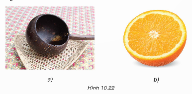 Mở đầu: