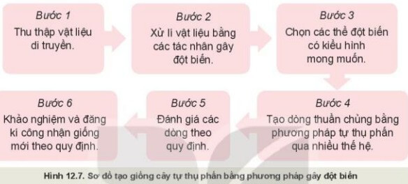 MỞ ĐẦU