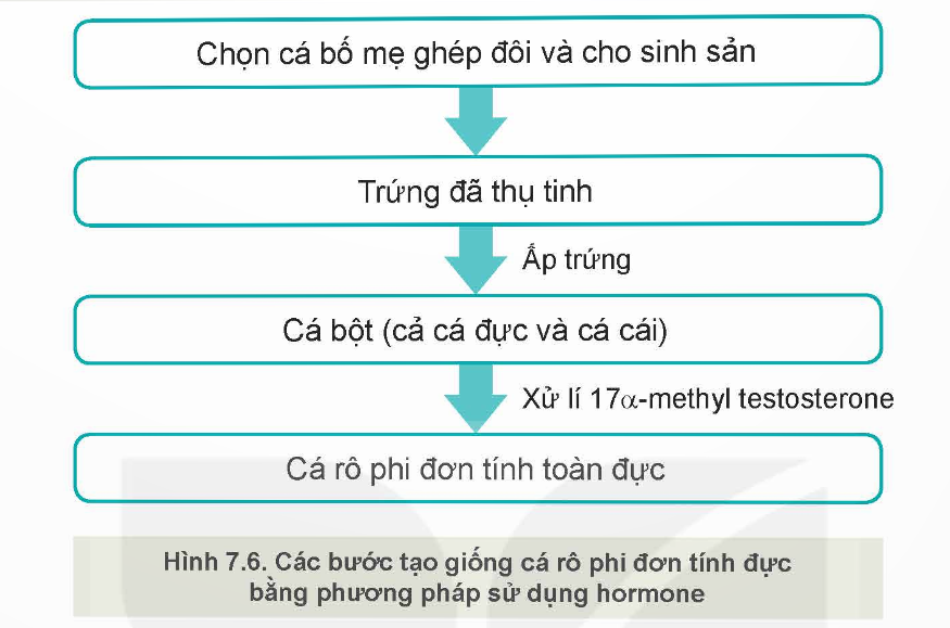 KHỞI ĐỘNG: