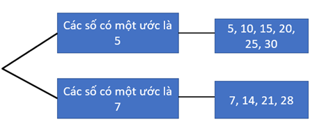 1. QUY TẮC CỘNG VÀ SƠ ĐỒ HÌNH CÂY