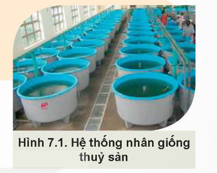 KHỞI ĐỘNG: