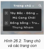 Nhiệm vụ 1: Tìm hiểu mô hình các trang web liên kết với nhau theo cấu trúc hình cây