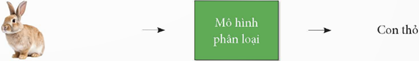 1. Sơ lược về học máy