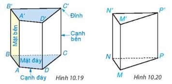 1. HÌNH LĂNG TRỤ ĐỨNG TAM GIÁC, HÌNH LĂNG TRỤ ĐỨNG TỨ GIÁC.