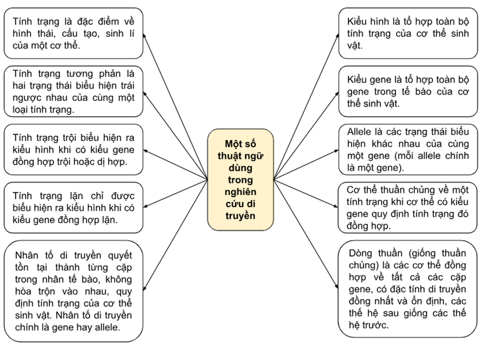 I. Di truyền và biến dị