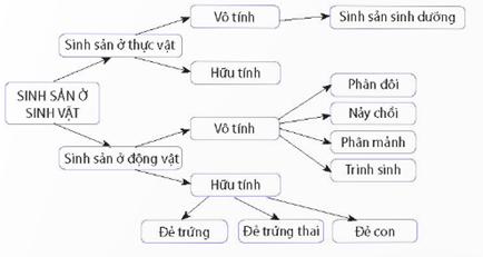 I. KHÁI NIỆM SINH SẢN