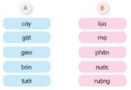 BÀI 30: CÁNH ĐỒNG QUÊ EM