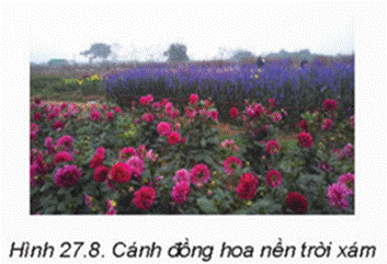 I. GIỚI THIỆU VỀ LỚP ẢNH