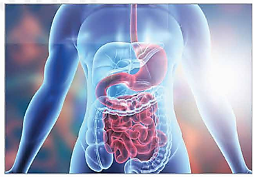 HĐ1: Thảo luận về lợi ích của mô phỏng