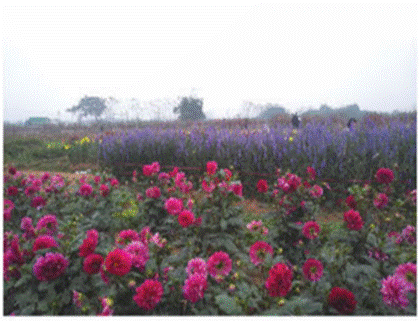 I. CÔNG CỤ TINH CHỈNH MÀU SẮC