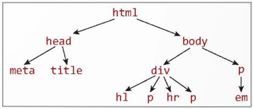 1. TRANG WEB VÀ HTML