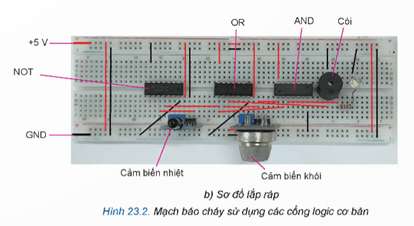 I. MỤC ĐÍCH, YÊU CẦU