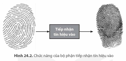 I. GIỚI THIỆU