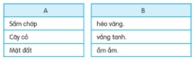 BÀI 27: CHUYỆN QUẢ BẦU