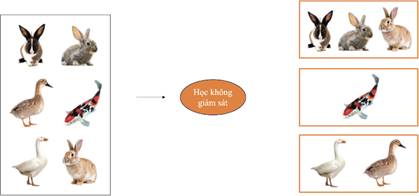 1. Sơ lược về học máy
