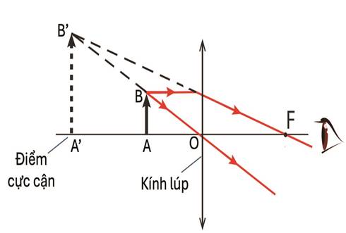 I. CẤU TẠO KÍNH LÚP