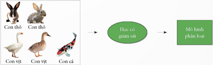 1. Sơ lược về học máy