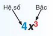 1. ĐƠN THỨC MỘT BIẾN