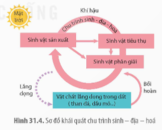 I. SINH QUYỂN VÀ KHU SINH HỌC