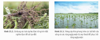 I. KHÁI NIỆM SINH THÁI HỌC PHỤC HỒI VÀ BẢO TỒN