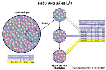 I. TIẾN HÓA NHỎ