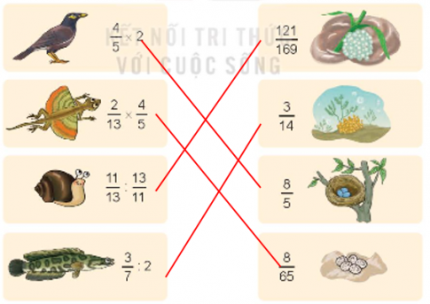 Luyện tập 1