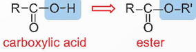 BÀI 1. ESTER – LIPID