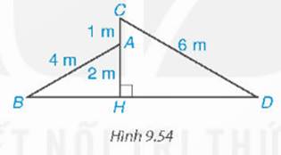 BÀI 36. CÁC TRƯỜNG HỢP ĐỒNG DẠNG CỦA HAI TAM GIÁC VUÔNG