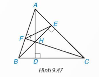 BÀI 36. CÁC TRƯỜNG HỢP ĐỒNG DẠNG CỦA HAI TAM GIÁC VUÔNG