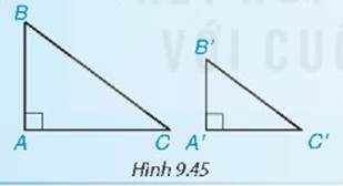 BÀI 36. CÁC TRƯỜNG HỢP ĐỒNG DẠNG CỦA HAI TAM GIÁC VUÔNG