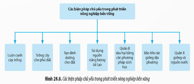 I. KHÁI NIỆM PHÁT TRIỂN BỀN VỮNG